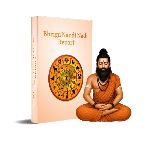 Nadi Report — book, sage, palm leaves