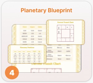 Nadi Report sample page 4